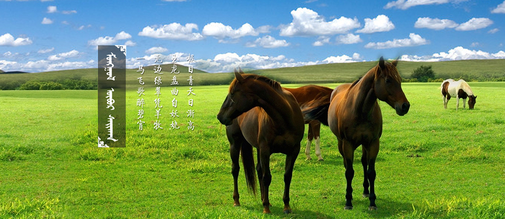 內蒙古巴音錫勒草原旅游開發有限公司 